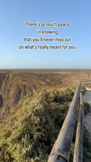 @salthouseportugal 
#portugal #portugal🇵🇹 #travel #freedom #reels #reelsinstagram #reelsvideo #reelitfeelit #réel #travelreels #travelling #surf #surflife #salt #saltlife #algarve🇵🇹 #westalgarve #arrifanabeach