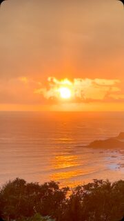 Ein magischer Ort. Eine transformative Reise. Eine Reise zu DIR ! ✨ English below 

Tauche ein in ein Retreat, das mehr ist als nur eine Pause vom Alltag.
Inmitten der kraftvollen Natur des Amoreira-Tals mit dem weiten Blick auf den Atlantik öffnen sich Räume – für Stille, Transformation und echte Verbindung.

Inspiriert von den Lehren Dr. Joe Dispenzas kombinieren wir traditionelle Yoga- und Meditationspraktiken mit wissenschaftlich fundierten Erkenntnissen der Epigenetik und Neurowissenschaft.
Erkenne, wie du durch bewusste Praxis deine Realität neu gestalten und dich mit deinem höheren Selbst verbinden kannst.

Du bist nicht deine Vergangenheit. Du bist pure Möglichkeit.

Erlaube dir, still zu werden.
Erlaube dir, zu empfangen.
Erlaube dir, neu zu wählen.

9. - 14. Juni @salthouseportugal Aljezur

Kommentiere MEHR und Du bekommst mehr Informationen in deine inbox! 

A magical place. A transformative journey. A journey back to YOU. ✨

Step into a retreat that’s more than just a break from your daily life.
Surrounded by the powerful nature of the Amoreira Valley and the wide-open view of the Atlantic, new spaces open – for stillness, transformation, and true connection.

Inspired by the teachings of Dr. Joe Dispenza, we combine traditional yoga and meditation practices with science-based insights from epigenetics and neuroscience.
Discover how, through conscious practice, you can reshape your reality and reconnect with your higher self.

You are not your past. You are pure potential.

Allow yourself to be still.
Allow yourself to receive.
Allow yourself to choose again.

June 9 – 14 @salthouseportugal Aljezur

Comment MORE and receive all the details straight to your inbox!

#reels #reelitfeelit #reel #portugal #reelsinstagram #yoga #yogaretreatportugal #yogaretreat #retreatsforwomen #retreats #reelsvideo #algarve #portugaltravel #women #womenempowerment #womenretreats #meditation #meditate #joedispenza #higherself #intuition #soul #kundalini #yin #yogalove #yogalife #chacras #chakra #epigenetics #epigenetik