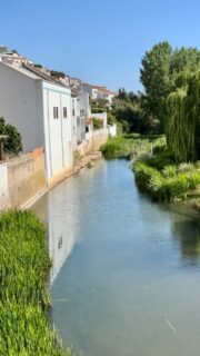 Aljezur is still covered in beautiful spring colours.
 
Slowly approaching summer.

#spring  #springcolours #flowers #frühling #aljezur #aljezurportugal #aljezurlife 
#reelsinstagram #reels #portugal #reelitfeelit #portugal🇵🇹 #travel #travelgram #mood #daydream