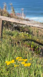 Maybe this is your reminder.
Life moves fast, don’t forget to breathe.

Spring in Aljezur is a feeling.
Come here. Slow down. 
Feel it @salthouseportugal 

#salthouseportugal 
#aljezur
#portugal 
#slowtravel 
#springmood